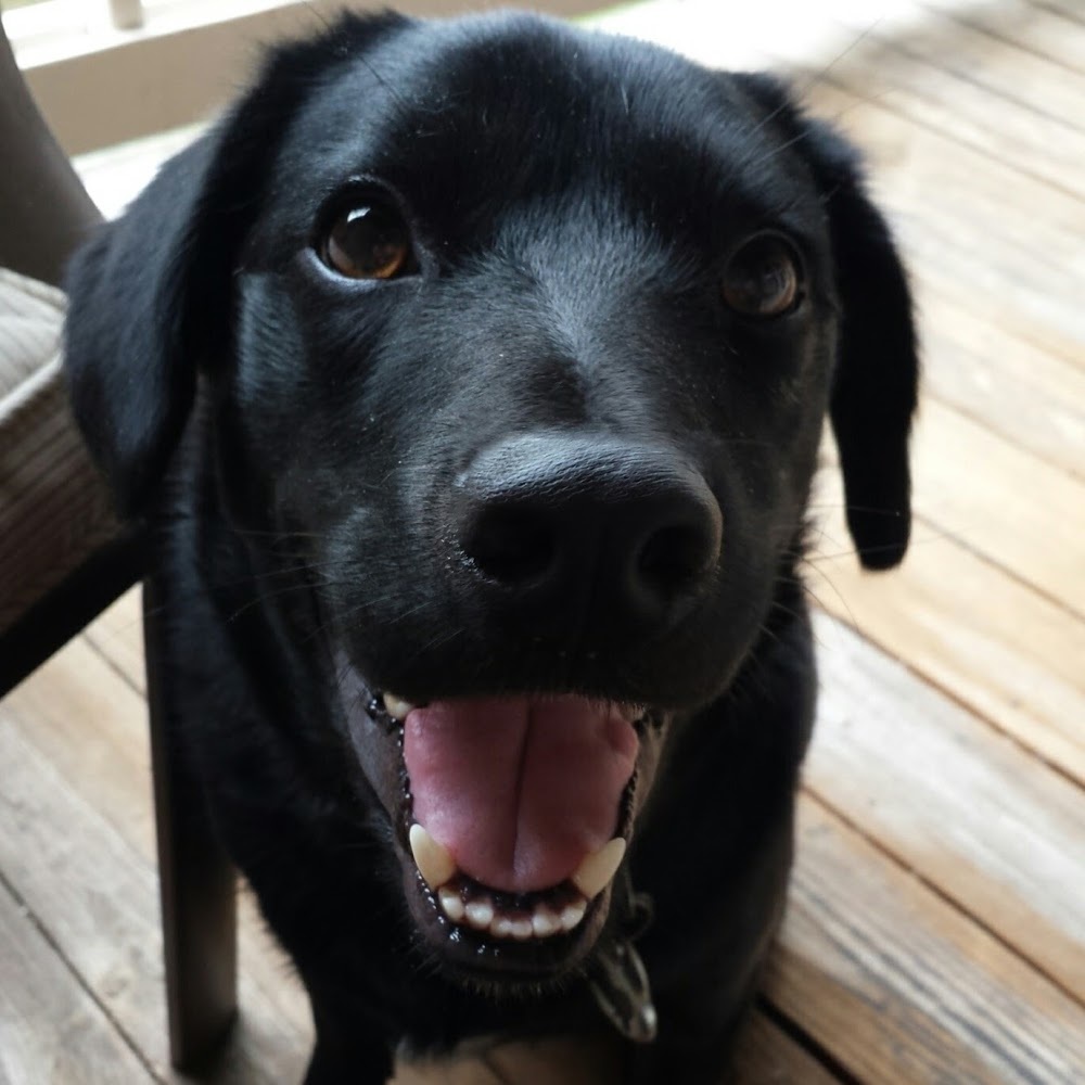 Meet your Posher, Stacey